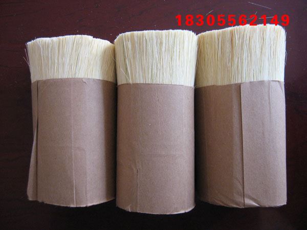 墨西哥劍麻